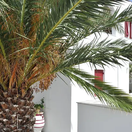 Rallis Naousa (Paros)