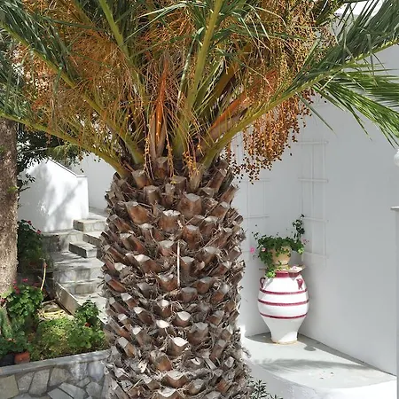 Aparthotel Rallis 3*