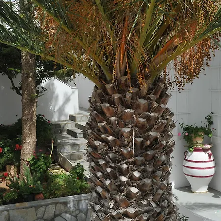 Rallis Aparthotel Naousa (Paros)